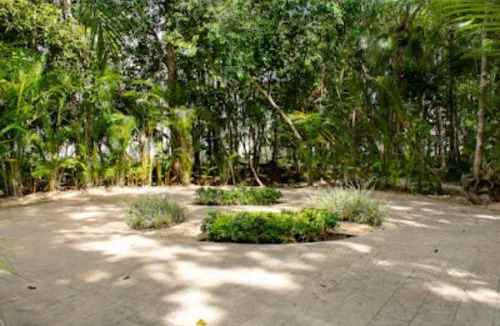 Puerto Morelos Apartment | Selva escondida