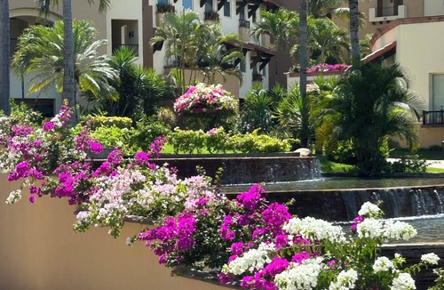 Flamingos Resort | Spend Christmas in Luxury at Villa del Palmar Flamingos Beach Resort 7 nights