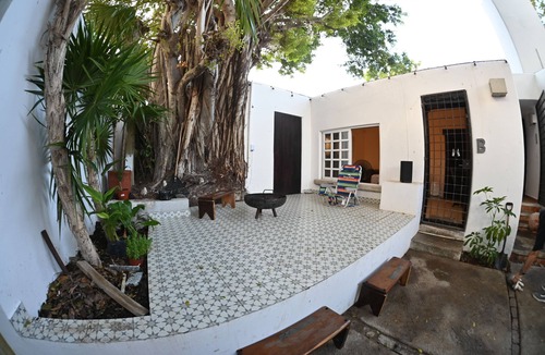 Downtown Cancun House | The Big Tree Home. Fully Equipped and Multipurpose