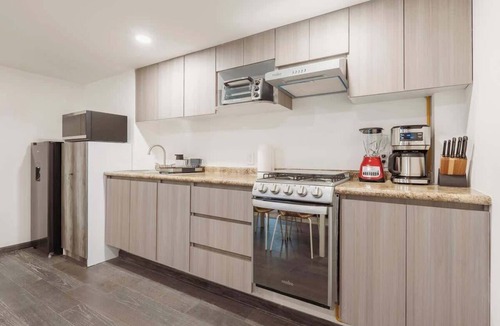 Colonia Cuauhtemoc Apartment | The Nice & Cozy Urban Green Haven