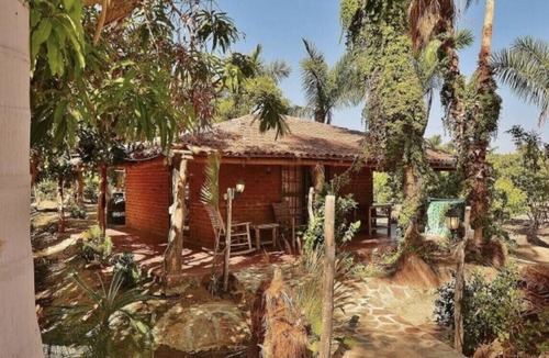 Todos Santos House | TREE HOUSE located on Rancho Danza del Sol
