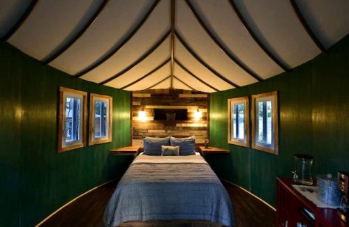 Spicewood House | Willow