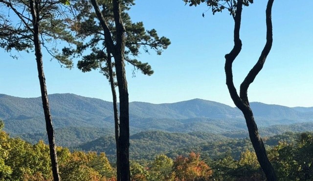 5-Star Cabin-Best Views in GA-Hot Tub-Pups Welcome-15 Min Blue Ridge-Clean in Cherry Log
