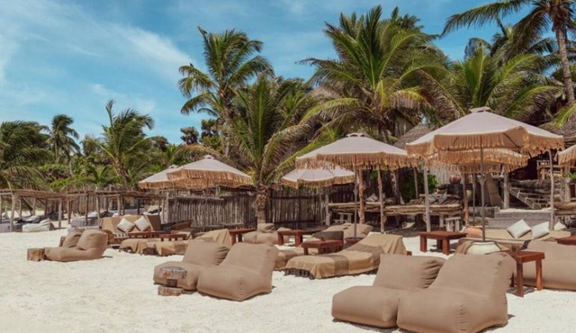 Advanced Studies in Tulum