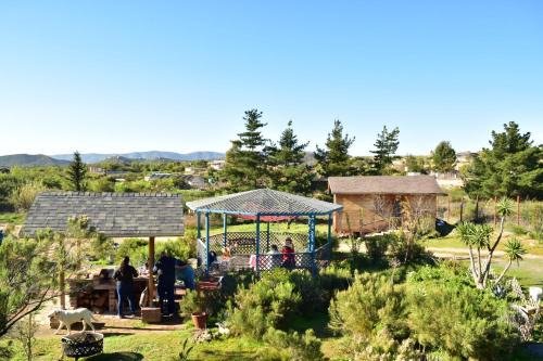 Bajo el Sol del Valle in Valle de Guadalupe