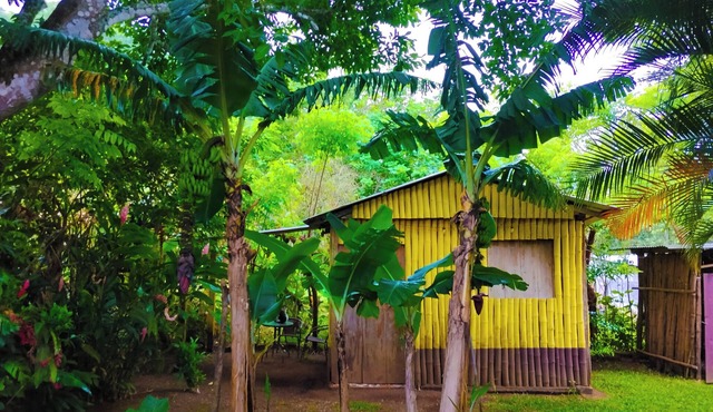 Bamboo cabin with 1 double bed in Dos Amates