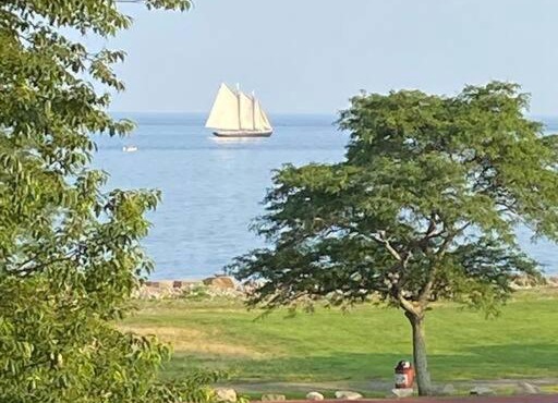 Beach Gem in Gloucester