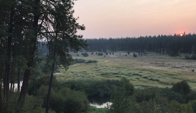 Beyond The River’s Path - gorgeous, quiet, & close to town in Colbert
