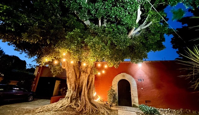 Bitcoin House Oaxaca - Space and Room for Everybody in Oaxaca de Juárez