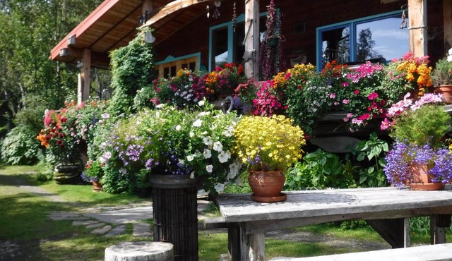 Brigitte's Bavarian Bed und Breakfast in Homer