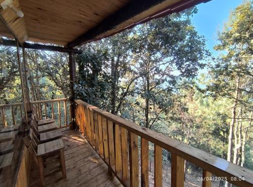 Cabañas en el Bosque de San José del Pacífico 5 in San Mateo Río Hondo