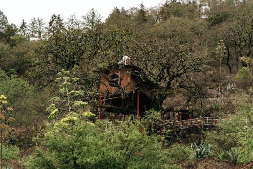 Cabañas Xakali in San Joaquín