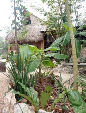 Camping Rancho El Tauro in Ek Balam Village