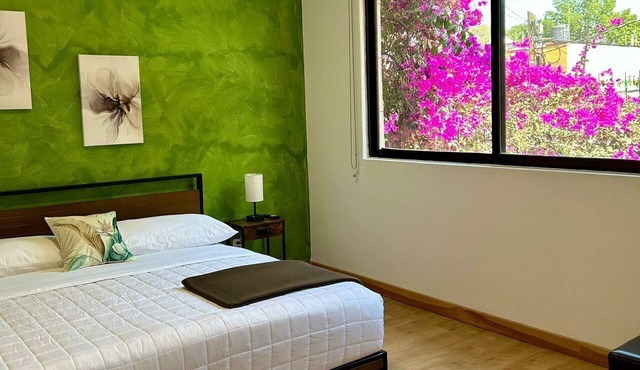 Casa Bamboo in Mexico City