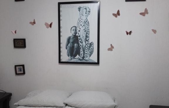 Casa Mariposas in Cancun