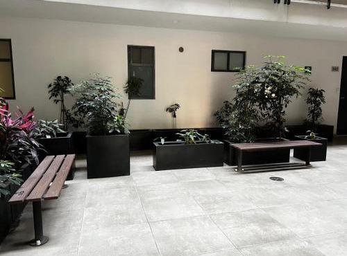Centro y tradición, departamento moderno in Mexico City