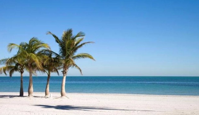 Charming 1BR Escape with Pool & Beach Nearby - in Key Biscayne