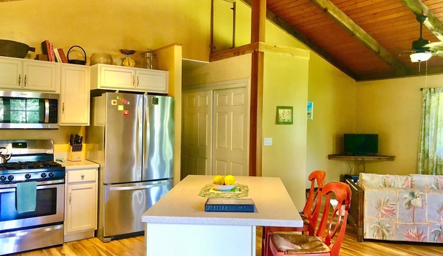 Cheerful, spacious home filled with Aloha! in Keaau