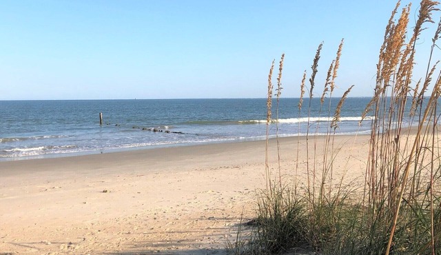 Cottage with private beach! in Hampton