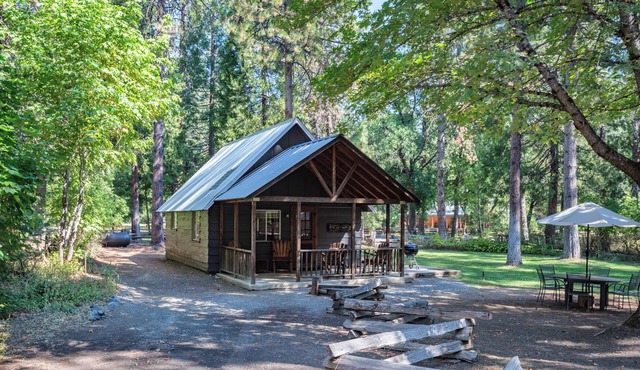 Cozy Ramshorn Cabin located on Coffee Creek in Trinity Alps in Trinity Center