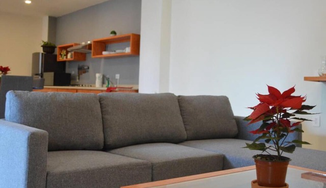 Departamento Ilustre in Fresnillo de González Echeverría
