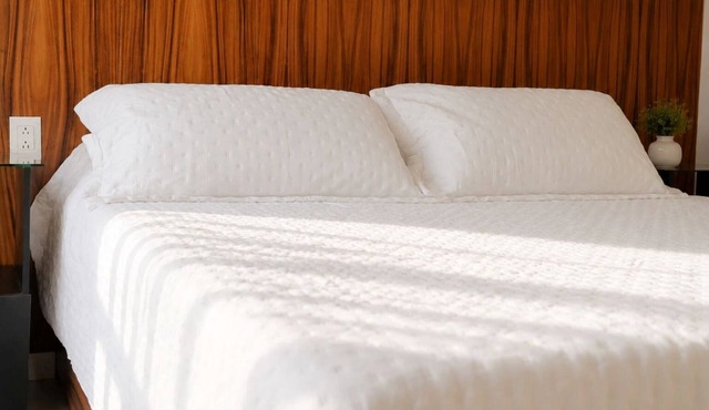 Deluxe Suite King size bed, kitchen and internet. Near event gardens 9 in Cuernavaca