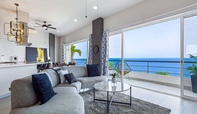 Dog-friendly ocean view penthouse & studio with a full kitchen & kitchenette in Puerto Vallarta