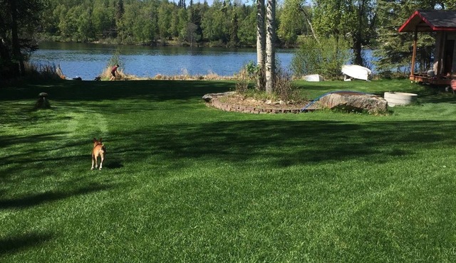 Dragonfly on the Lake Alaska 1, You won’t forget your stay! Sauna, Fishing, more in Nikiski