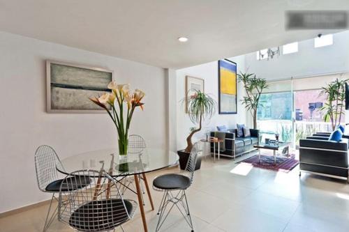 Duplex Penthouse Zona Rosa in Mexico City