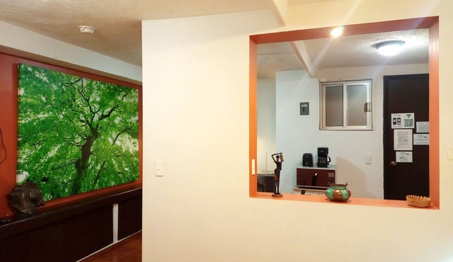 Garden House Welcome to San Ángel in Mexico City