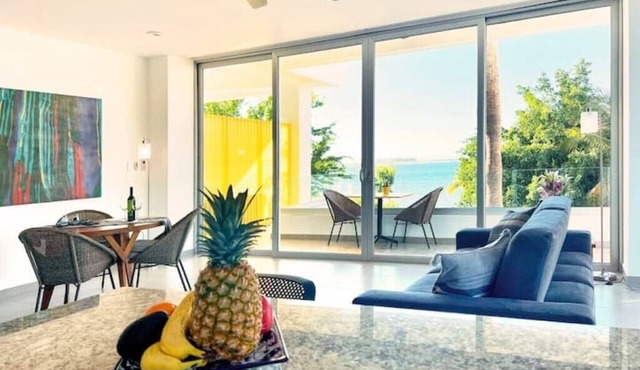 Grosszügige Wohnung mit Oceanview in Esterito