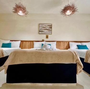 Hotel cacao spa cozumel in Cozumel