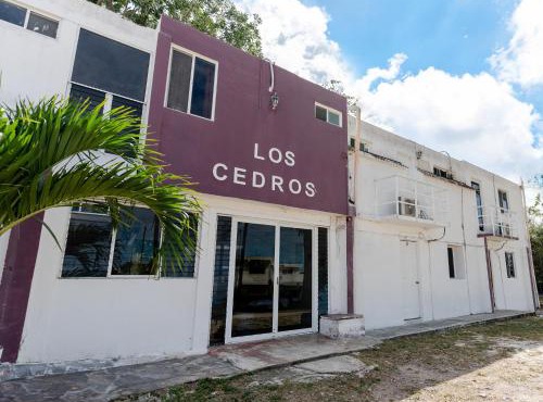 HOTEL LOS CEDROs in Yalsí