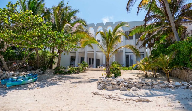 Magnificent Beachfront villa designed by renowned architect in South Akumal. in Akumal