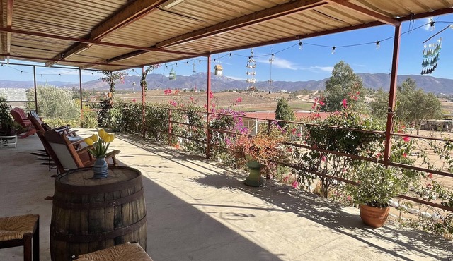 Spacious home in the heart of Valle de Guadalupe. in Francisco Zarco (Valle de Guadalupe)
