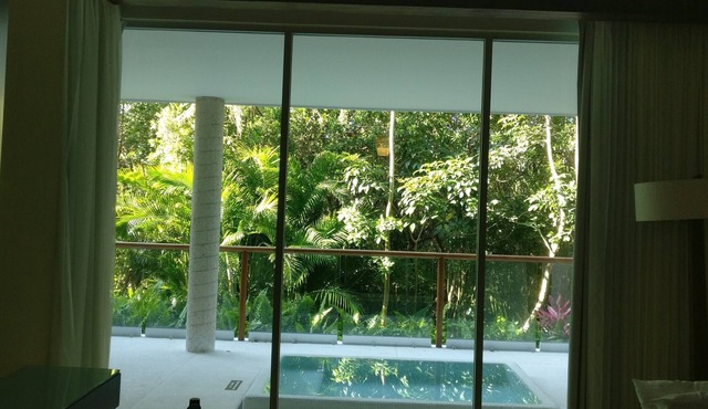 The Grand Mayan; Luxury in a Beautiful Jungle with Warm, Sunny Beaches! in Playa del Carmen Riviera Maya