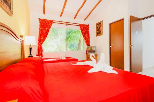 Playacar - Executive Budget Room With Swimming Pool Air Conditioning and Parking in Playa del Carmen