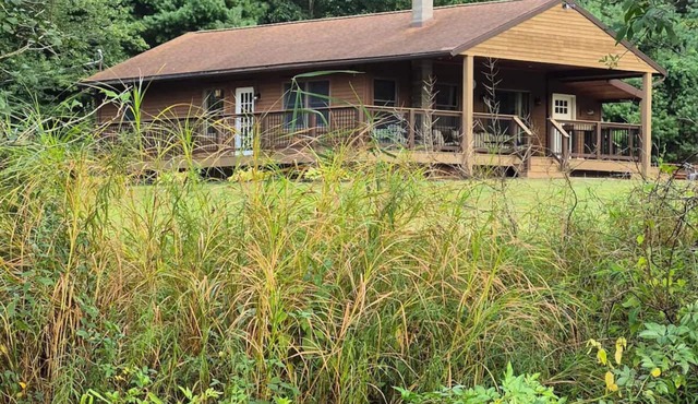 Private retreat in the middle of Elk country in Driftwood