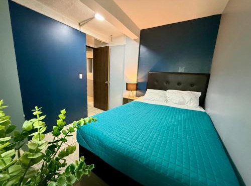 Roomies Hostel - SantaMaria in Mexico City