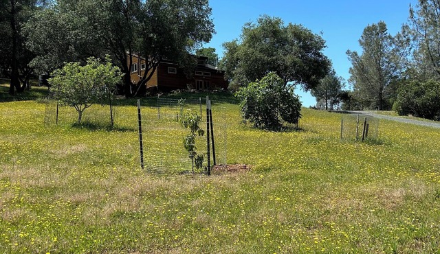 Rustic Studio Getaway Pet Friendly in Penn Valley