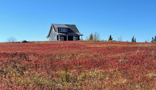 Secluded blueberry field retreat with sweeping 360 views. in Cherryfield