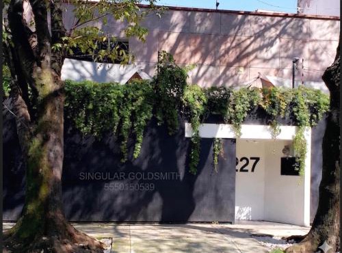 Singular Goldsmith in Mexico City