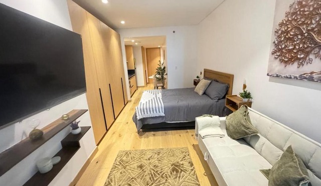 Skyline 41 Luxury Executive Loft in Mexico City