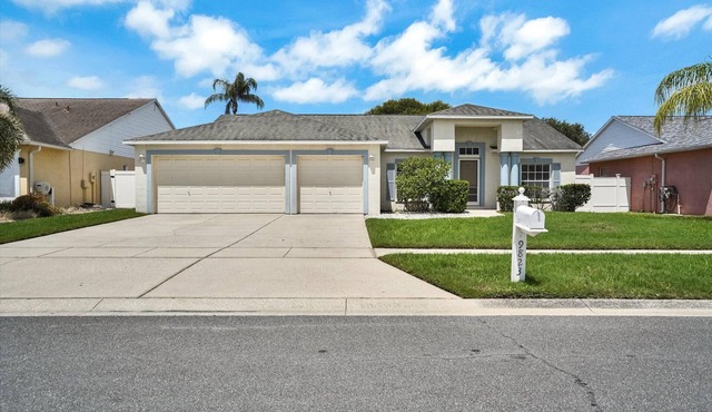 Tampa Paradise For All Occasions in Riverview