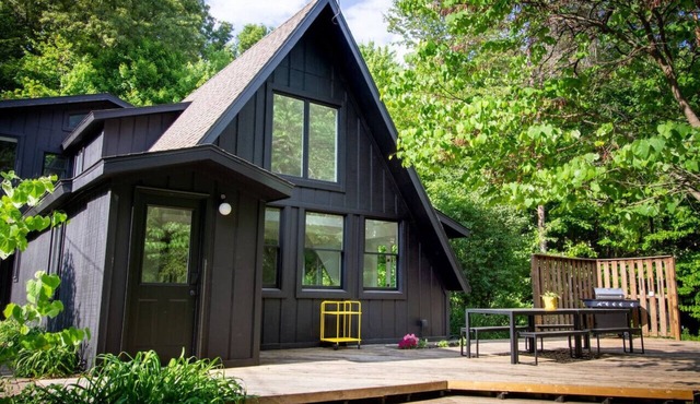 The Love Inn A-Frame in the Woods with Heated Pool and Firepit Sleeps 19 Ada MI in Lowell