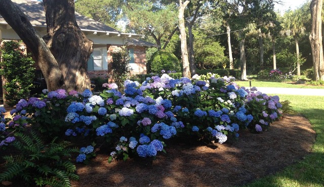 THIS IS BEST LOCATION ON SEA ISLAND-ONLY 2 BLOCKS to CLOISTER HOTEL & BEACH CLUB in Sea Island