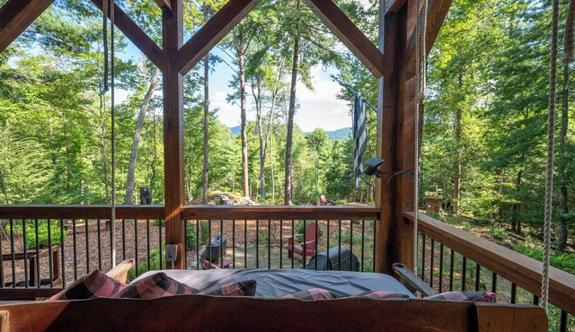 Three Loves Cabin-Cherry Log GA in Cherry Log