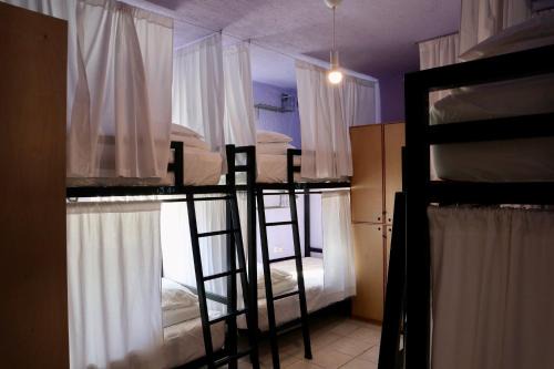 Whale Tales Hostel in San José del Cabo