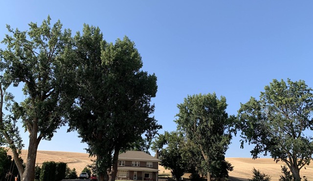Young Country Manor in Pullman
