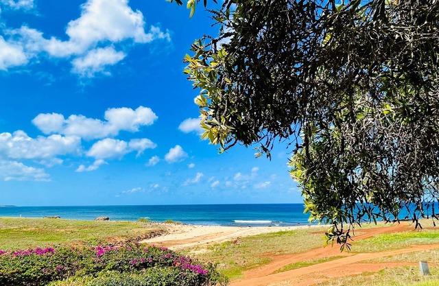 Paniolo Hale Maunaloa 